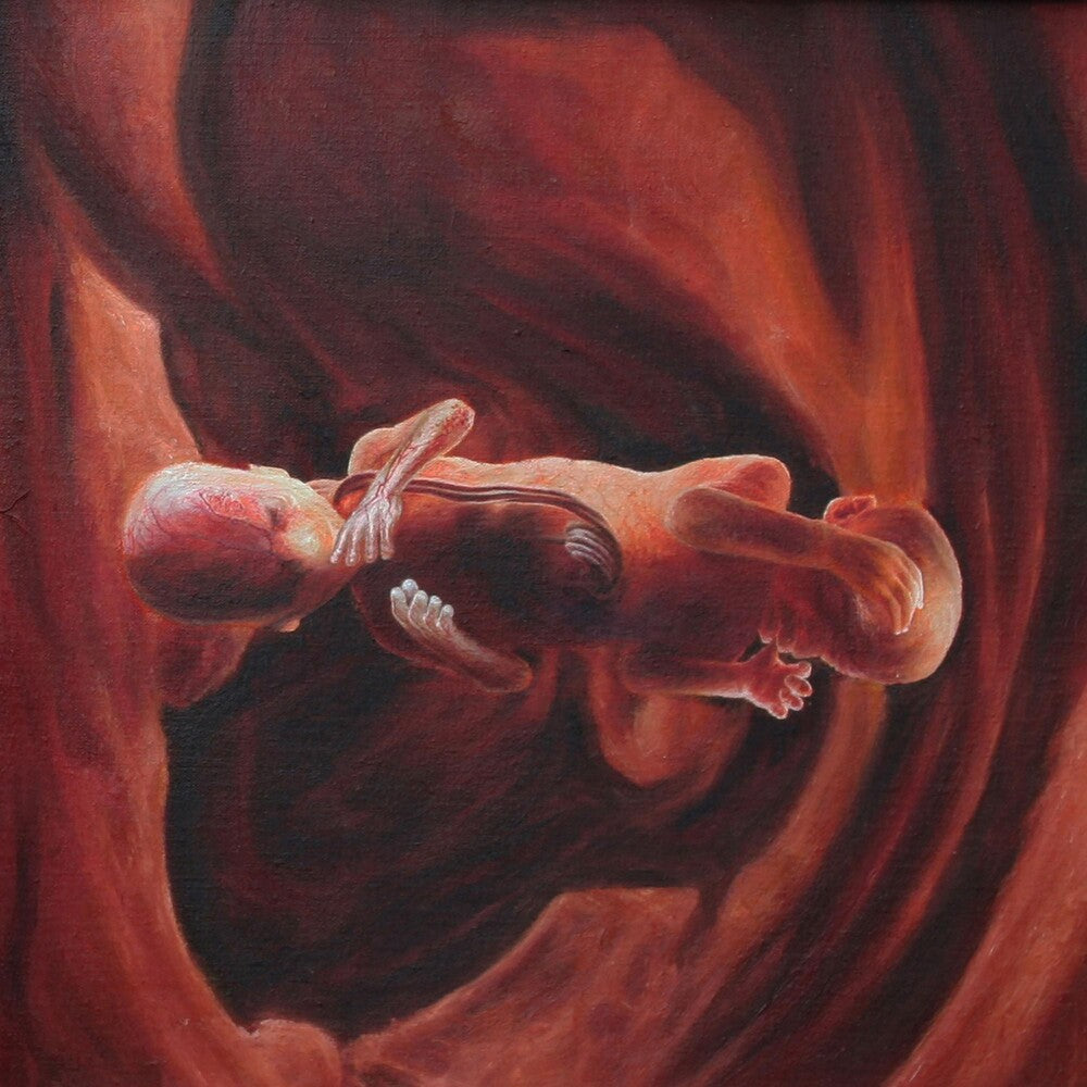 the album cover for Coalesce - 0:12 Revolution In Just Listening