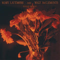 the album cover for Mary Lattimore  / Mcclements,Walt - Rain On The Road