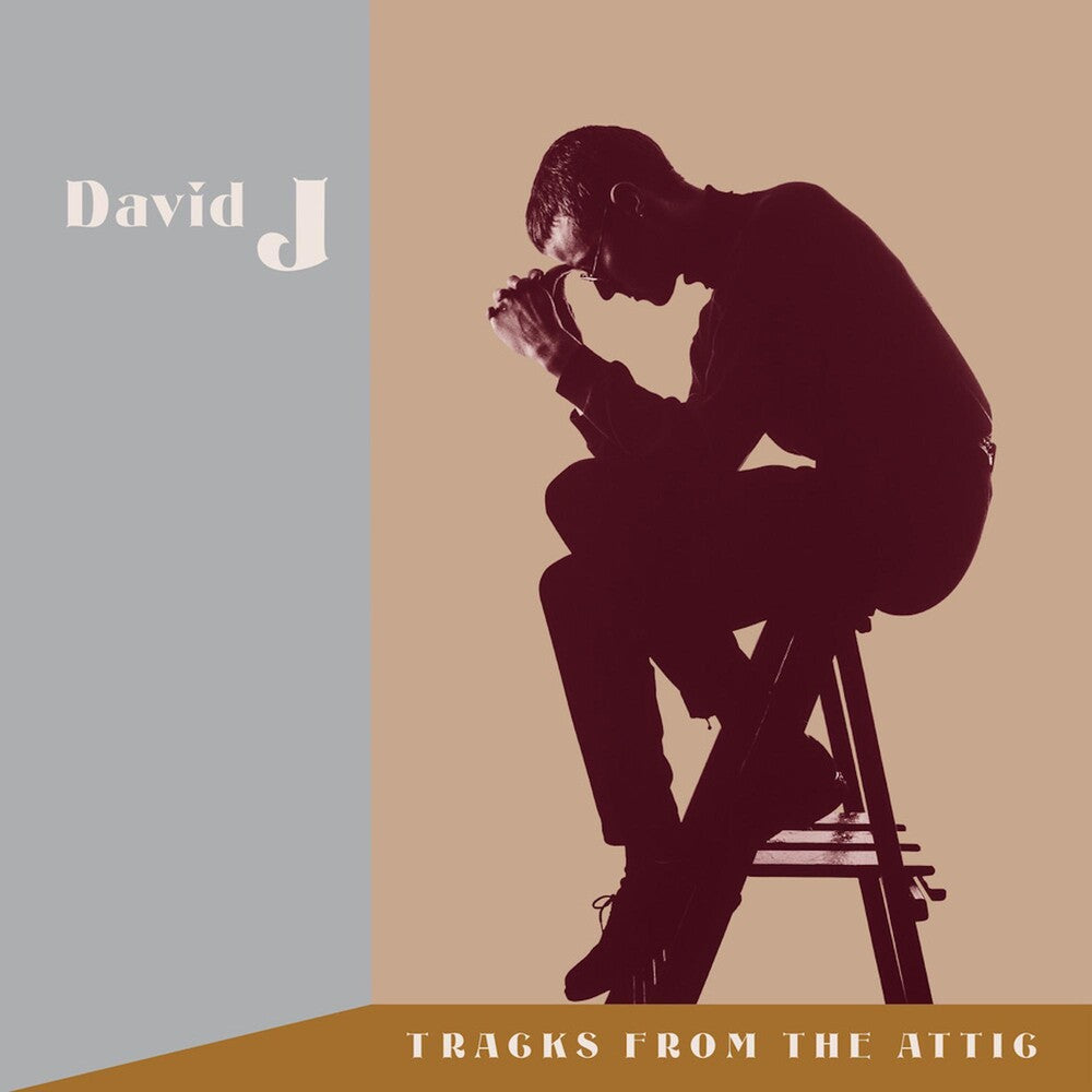 the album cover for David J - Tracks From The Attic