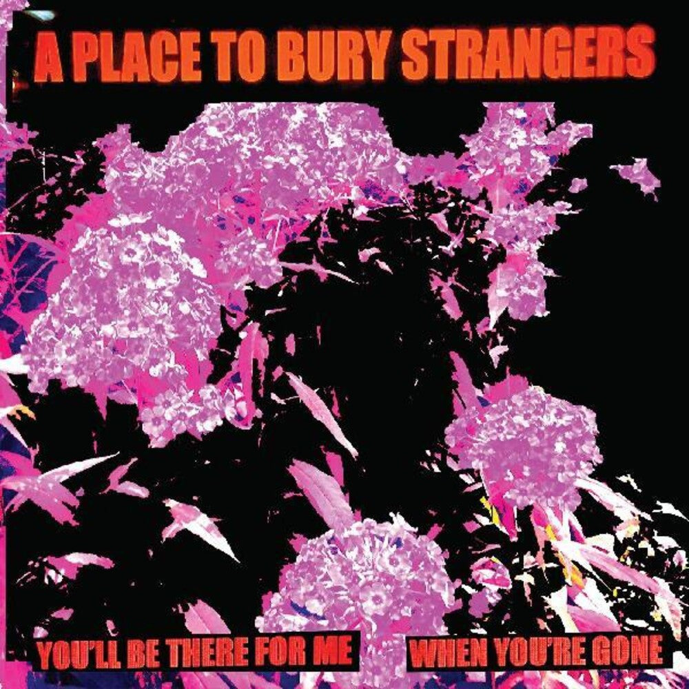 the album cover for Place To Bury Strangers - You'll Be There For Me / When You're Gone [Colored Vinyl]