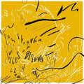 the album cover for Tom Skinner - Voices Of Bishara Live At 'mu' [Deluxe] [Limited Edition]