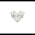 the album cover for John Zorn - Love Songs Live