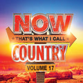 the album cover for Now Country 17 / Various (Colv) - Now Country 17 / Various [Colored Vinyl]