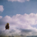 the album cover for Pond - Stung [CD]