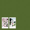 the album cover for John Moreland - Visitor [LP]
