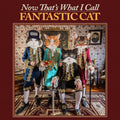 the album cover for FANTASTIC CAT	 - NOW THAT'S WHAT I CALL FANTASTIC CAT [LP]