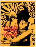 the album cover for Guided By Voices - Tonics & Twisted Chasers [Reissue]