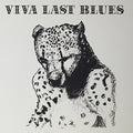 the album cover for Palace Music - Viva Last Blues