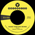 the album cover for Stephen Colebrooke - Shake Your Chic Behind / Stay Away From Music