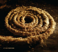 the album cover for Coil / Nine Inch Nails - Recoiled (White Vinyl) [Colored Vinyl] (Wht)