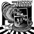 the album cover for Cobras - Caught Live At The Continental Club (Eco)