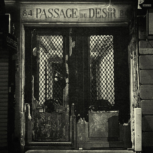 the album cover for Johnny Blue Skies - Passage du Desir [LP]