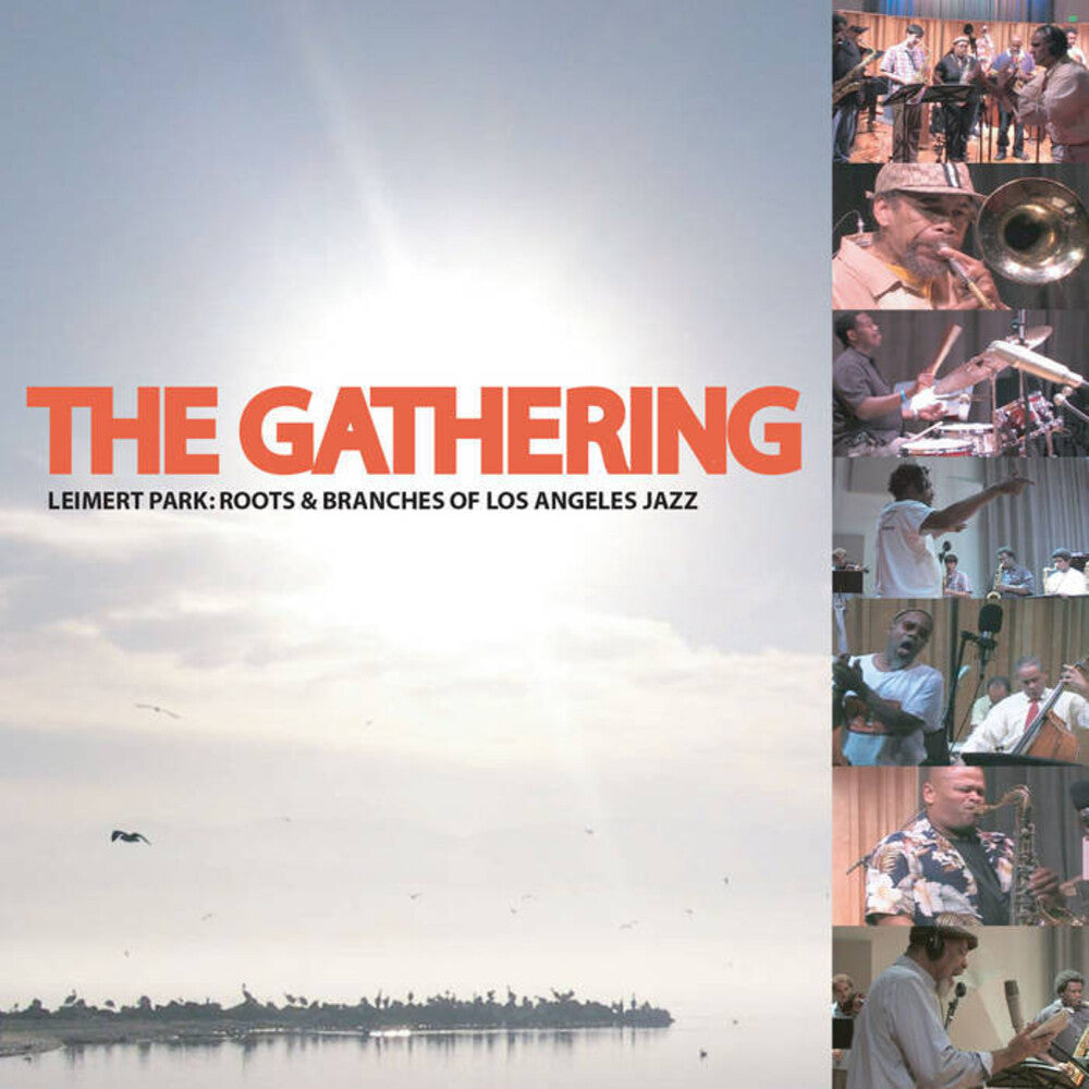 the album cover for Gathering: Roots & Branches Of Los Angeles Jazz - Healing Suite
