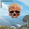 the album cover for Dave Harrington - Skull Dream