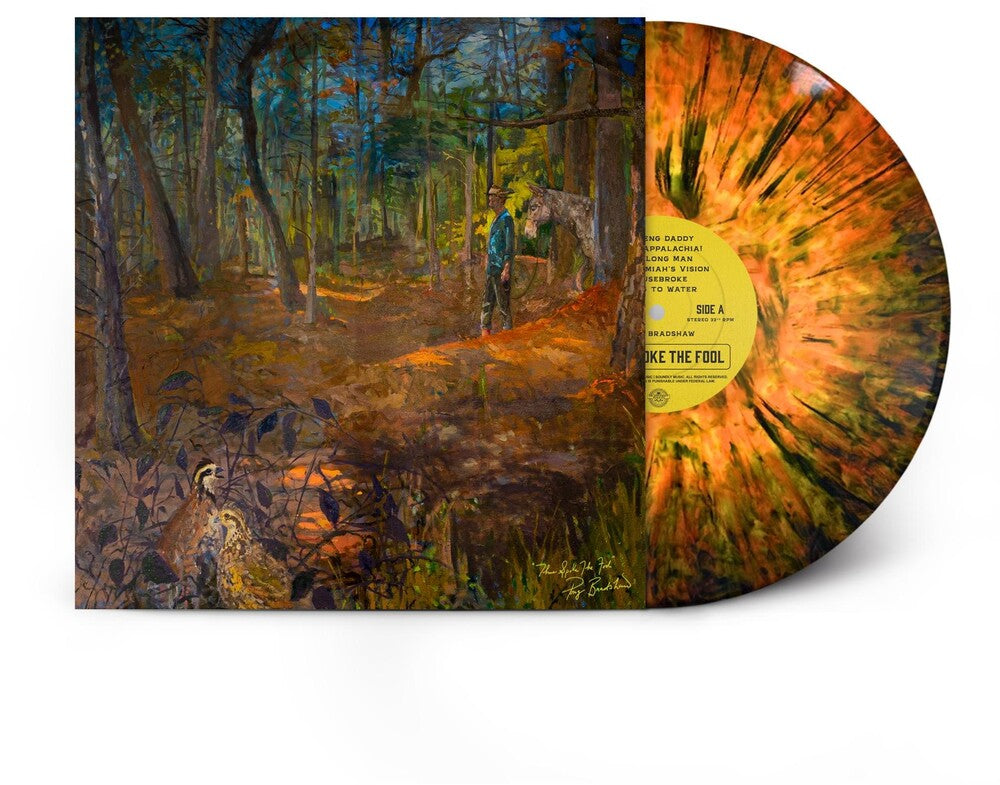 the album cover for Pony Bradshaw - Thus Spoke the Fool [Indie exclusive - In The Cinnamon Glow - Orange Splatter LP]