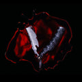 the album cover for Black Veil Brides - Bleeders [Colored Vinyl] (Gate) (Red)