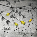 the album cover for Pettersson & Fredriksson - Sotali
