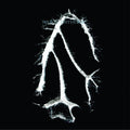 the album cover for Seefeel - Everything Squared