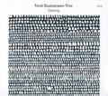 the album cover for Gustavsen, Tord - Seeing