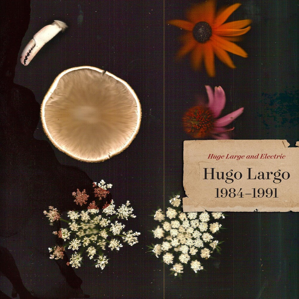 the album cover for Hugo Largo - Huge, Large and Electric: Hugo Largo 1984-1991 [LP]