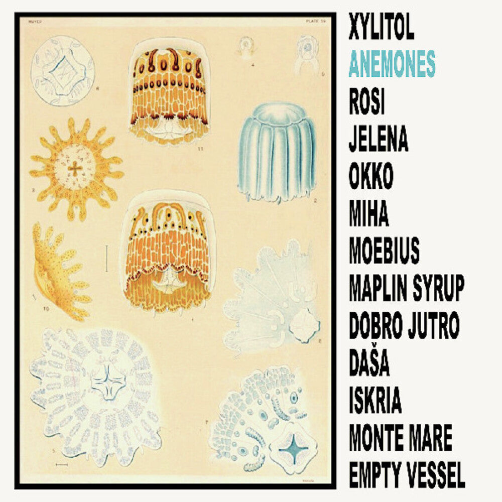 the album cover for Xylitol - Anemones