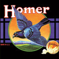 the album cover for Homer - Grown In Usa