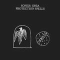 the album cover for Songs: Ohia - Protection Spells