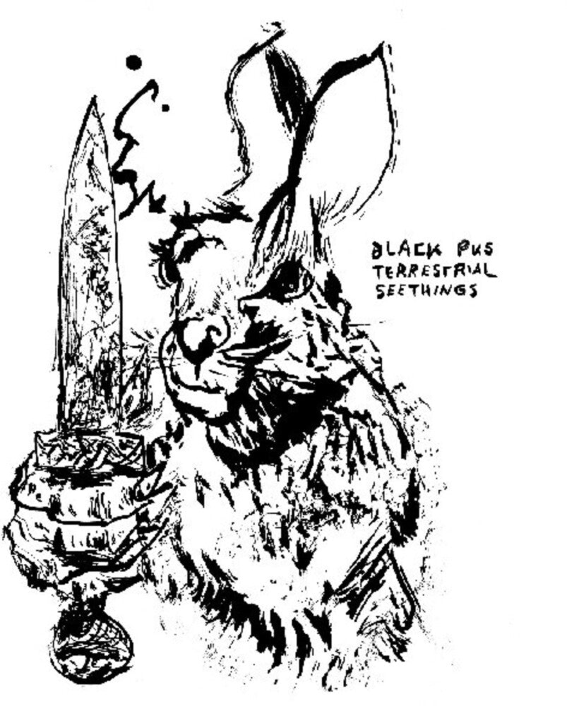 the album cover for Black Pus - Terrestrial Seethings [Colored Vinyl] (Slv) [Indie Exclusive] [Download Included]