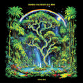 the album cover for Chancha Via Circuito & El Buho - Tenalach (Frpm) [180 Gram]