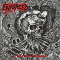 the album cover for Enforced - Leap Into The Dark