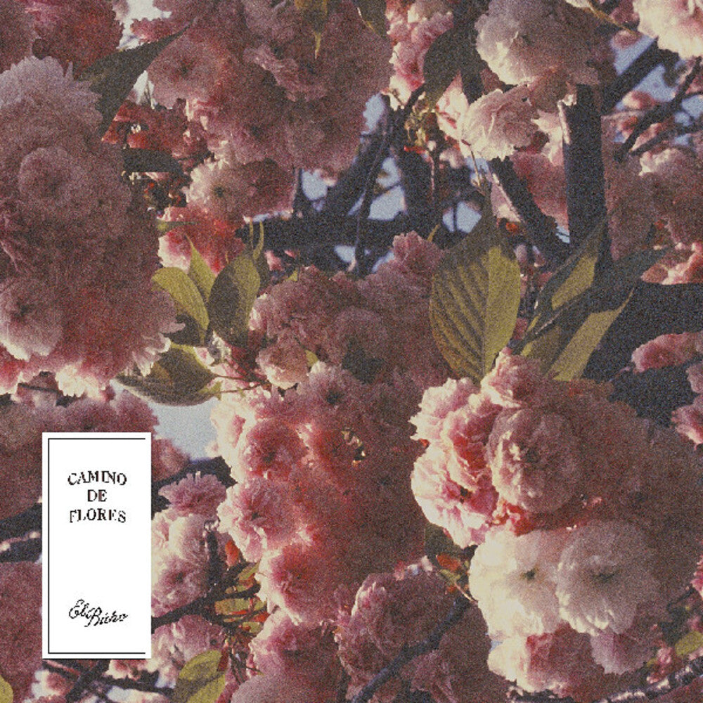 the album cover for El Buho - Camino De Flores [Colored Vinyl] [180 Gram] (Pnk)