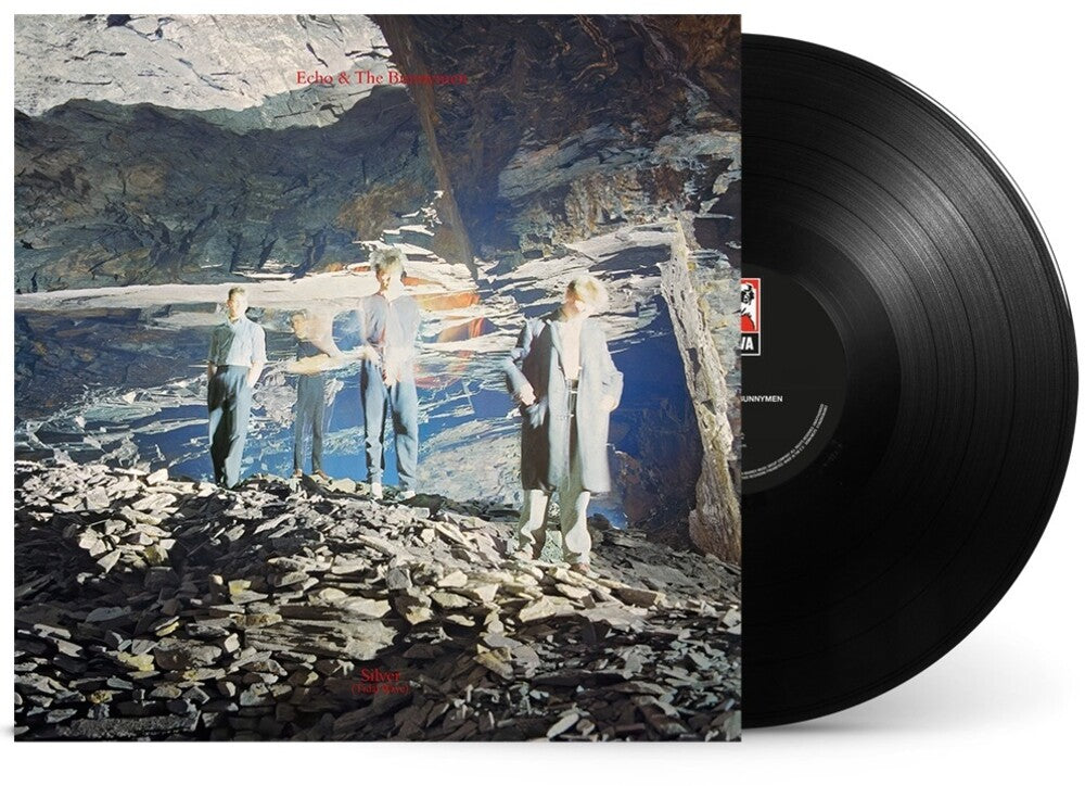 the album cover for Echo & The Bunnymen - Silver [RSD Black Friday 2024]