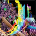 the album cover for Soulkeeper - Holy Design [Compact disc]