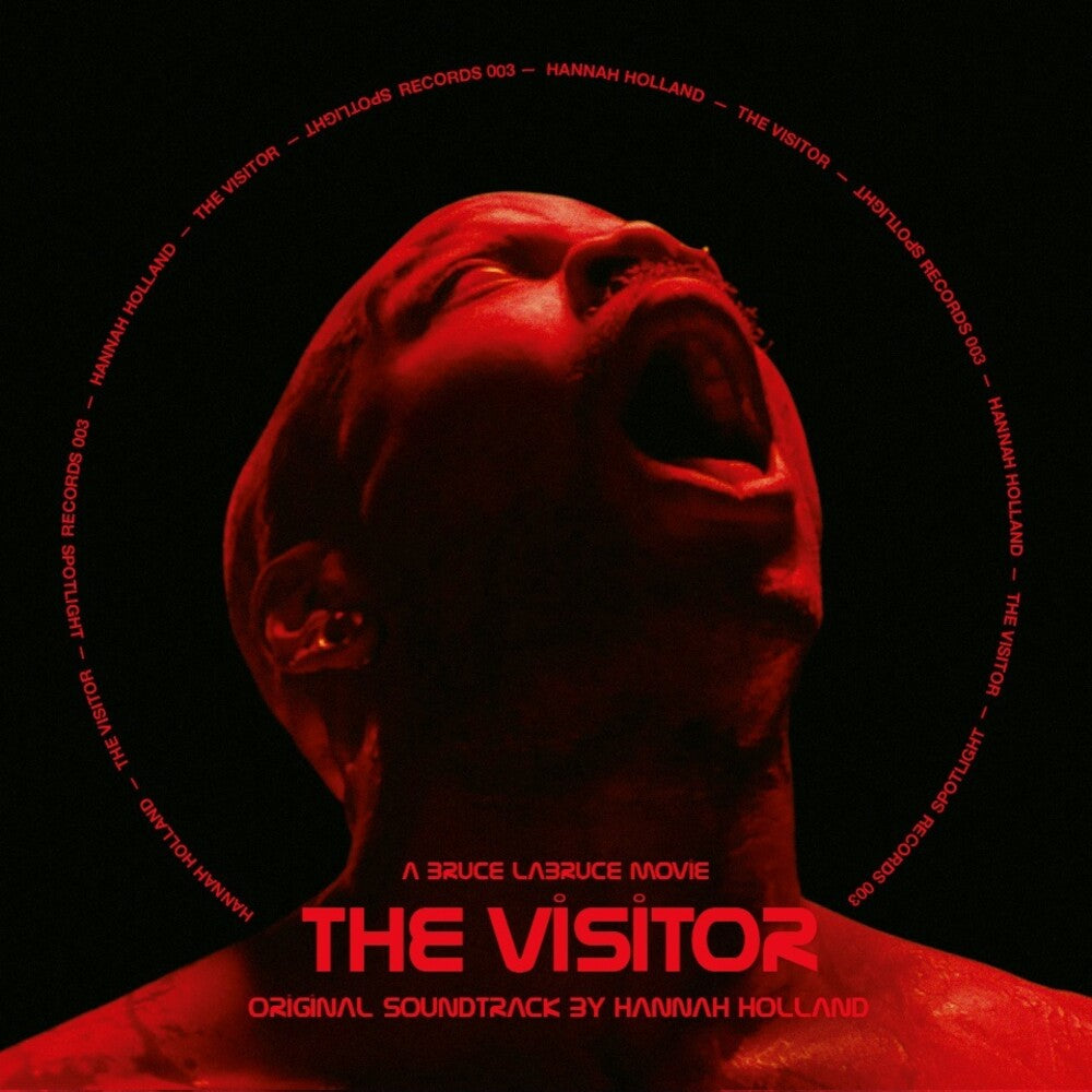 the album cover for Hannah Holland  (Stic) - Visitor - O.S.T. (Stic)