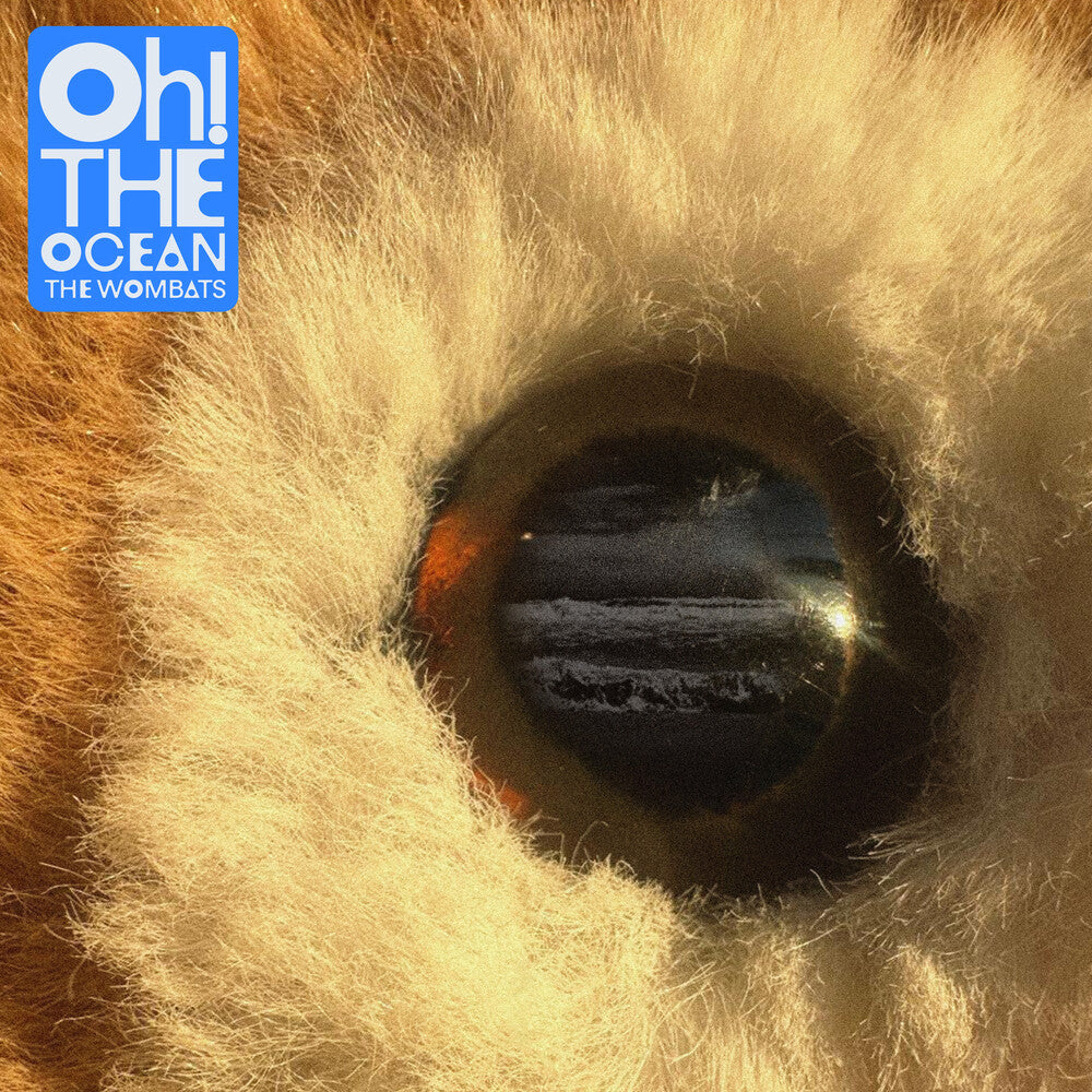 the album cover for The Wombats - Oh! The Ocean [Compact disc]