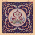 the album cover for Terry Riley - Shri Camel