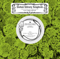 the album cover for Paolo Negri  Apollo / Umiliani,Piero - Italian Library Songbook Vol. 2