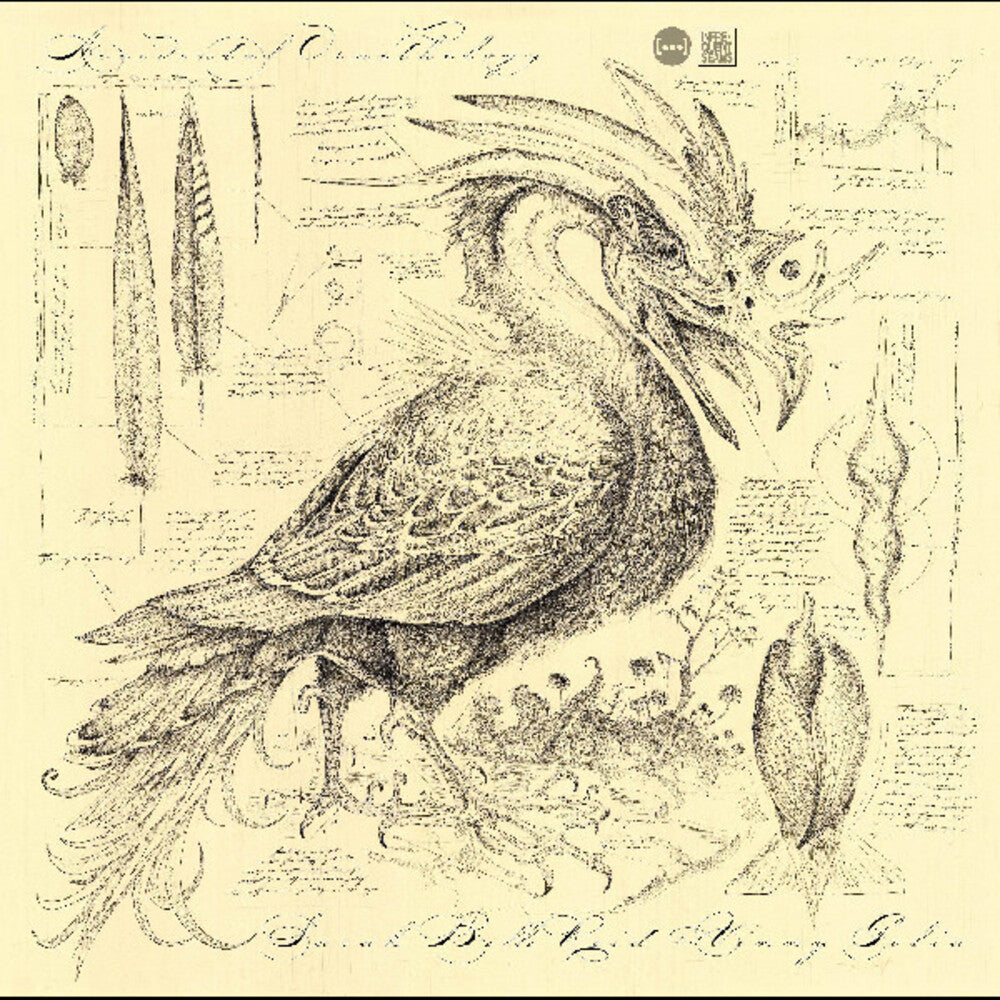 the album cover for Sarah Reid  Belle / Golia,Vinny - Accidental Ornithology