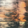 the album cover for Cohen, Avishai / Avishai, Yonathan - Ashes To Gold