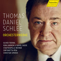 the album cover for Schlee / Triendl / Karmon - Orchesterwerke