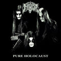 the album cover for Immortal - Pure Holocaust