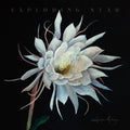 the album cover for Heather Maloney - Exploding Star
