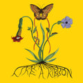 the album cover for John Glacier - Like A Ribbon