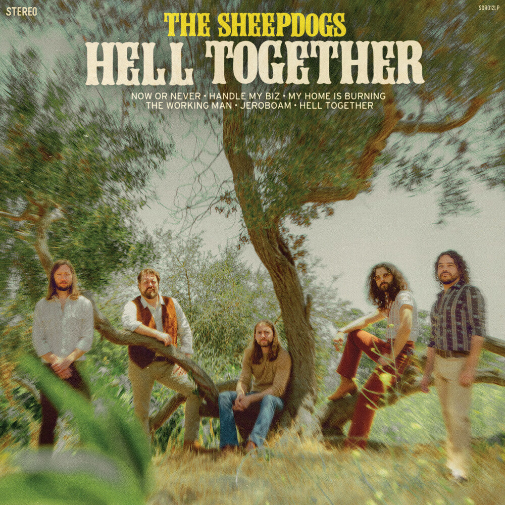 the album cover for The Sheepdogs - Hell Together [LP]