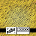 the album cover for Tone Scientists - Kiiroi Tori