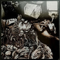 the album cover for Nurse With Wound - Merzbild Schwet [Colored]