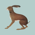 the album cover for Vashti Bunyan - Lookaftering ( Expanded )