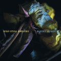 the album cover for Robert Ascroft - Echo Still Remains (Aqu) [Colored Vinyl] (Stic) [Indie Exclusive]