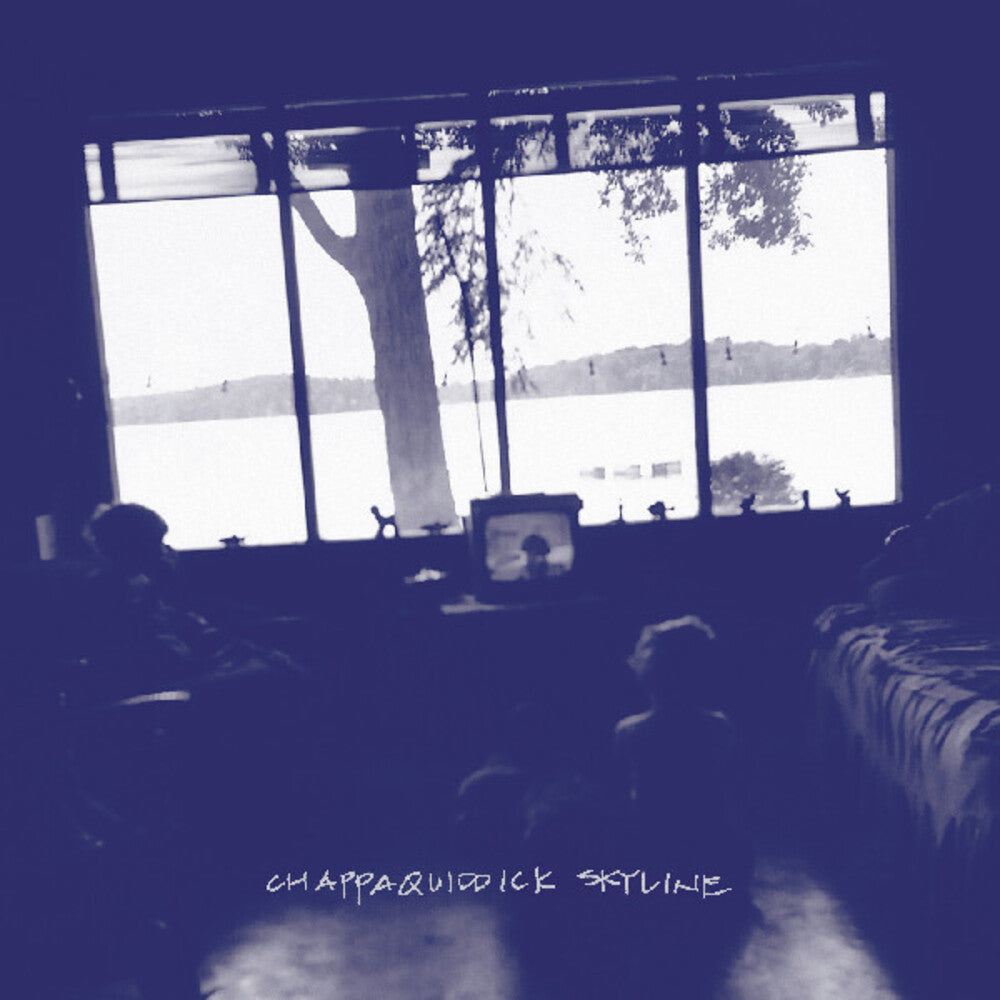 the album cover for Pernice Brothers - Chappaquiddick Skyline