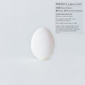 the album cover for Wilco - A Ghost Is Born (Deluxe Edition) -  [9 CD BOX SET]